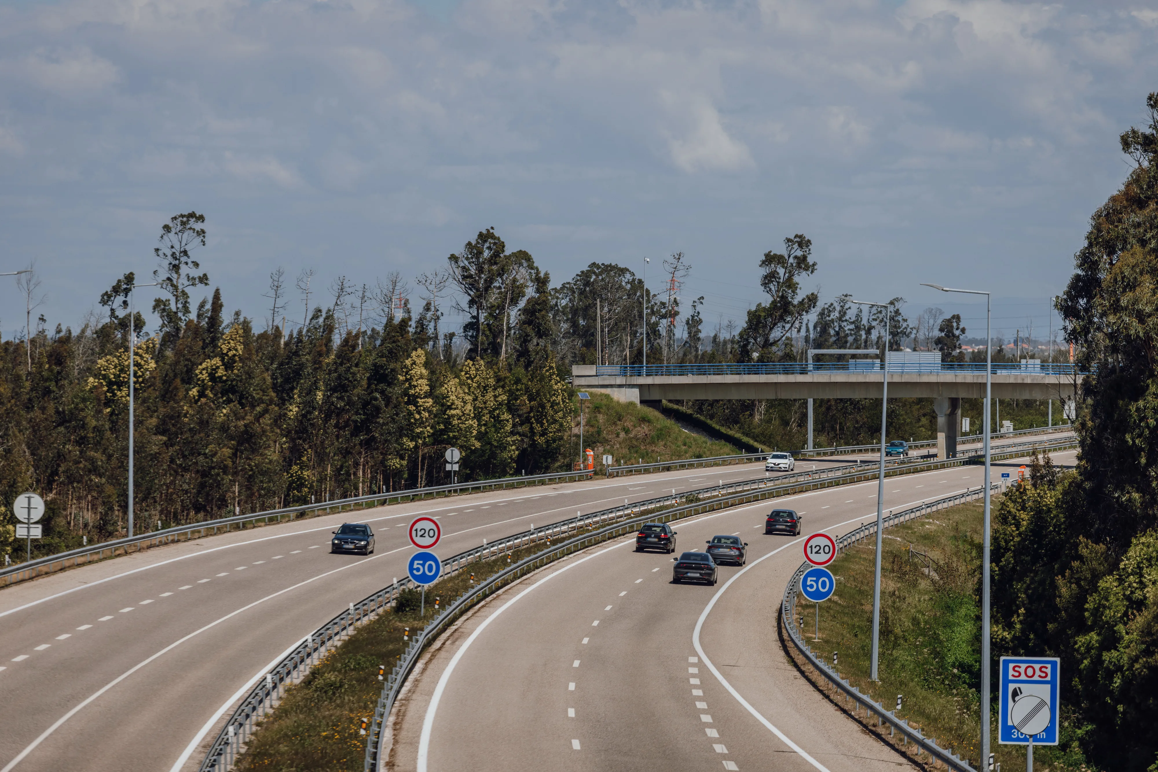 Autoestrada com viaduto e trânsito ligeiro, entre zonas arborizadas.
