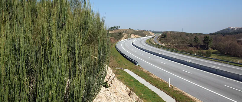 Autoestrada em curva vista de um talude com vegetação