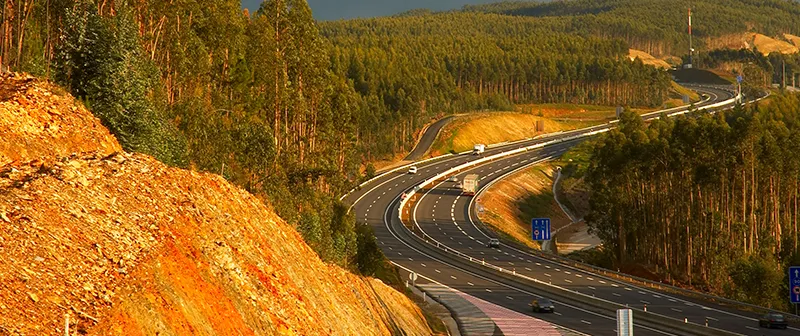 Autoestrada em curva entre eucaliptos ao fim da tarde