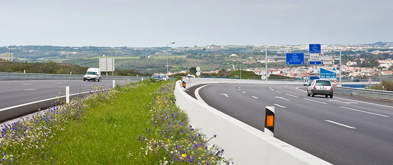 Ramo de saída com flores silvestres no separador