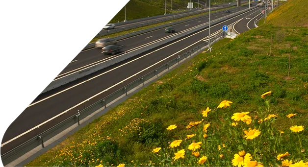 Autoestrada ladeada por um talude com flores amarelas