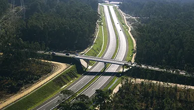 Vista aérea de uma autoestrada entre floresta, atravessada por uma passagem superior