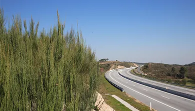 Autoestrada em curva vista de um talude com vegetação
